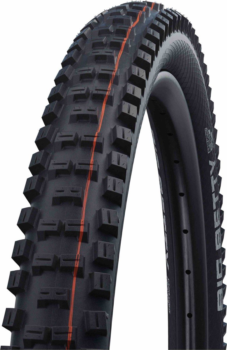 Schwalbe Buitenband "Big Betty Evolution Line"57-4