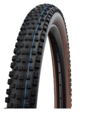 Schwalbe Buitenband "Wicked Will Evolution Line"62 Schwarz / Transparent