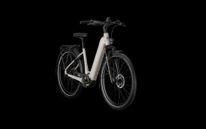 Kalkhoff IMAGE 3 EXCITE Sustainedgrey Matt